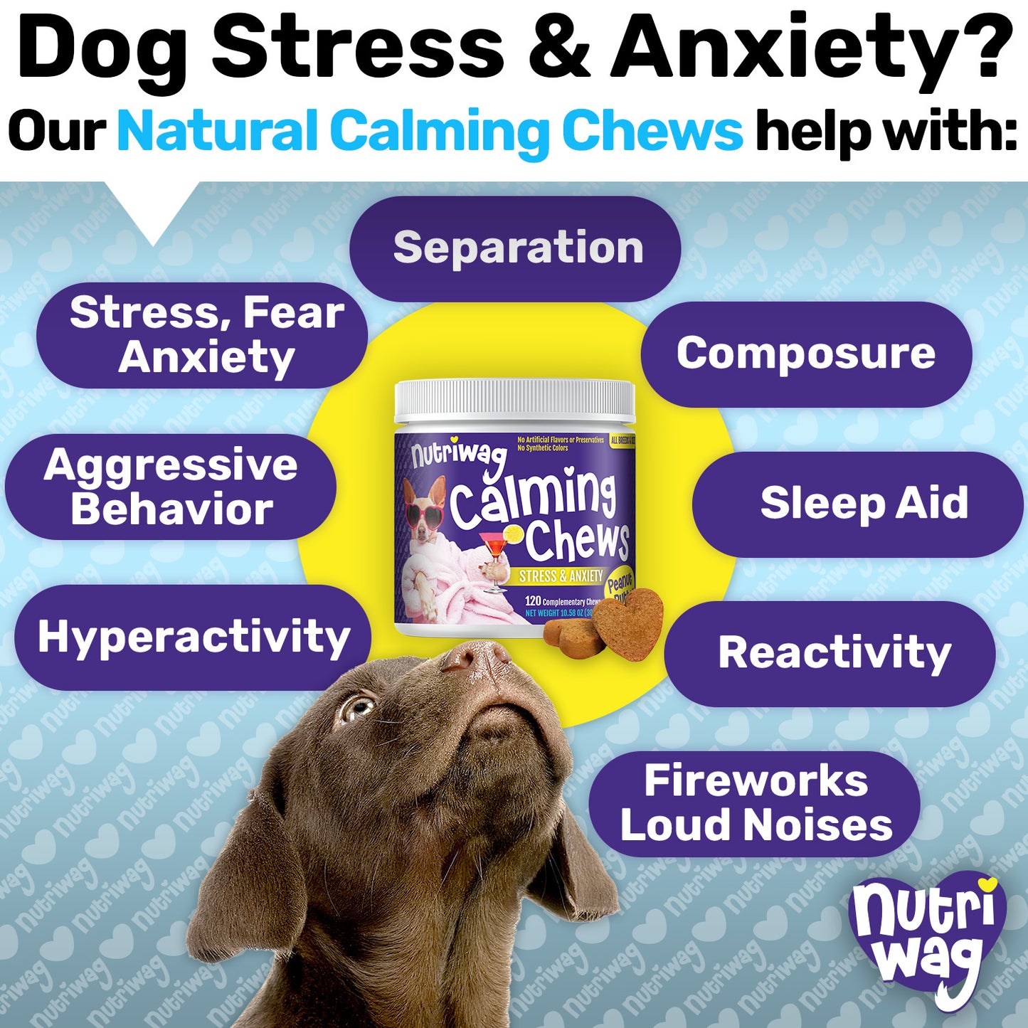 NutriWag Calming Chews - 2 Jars