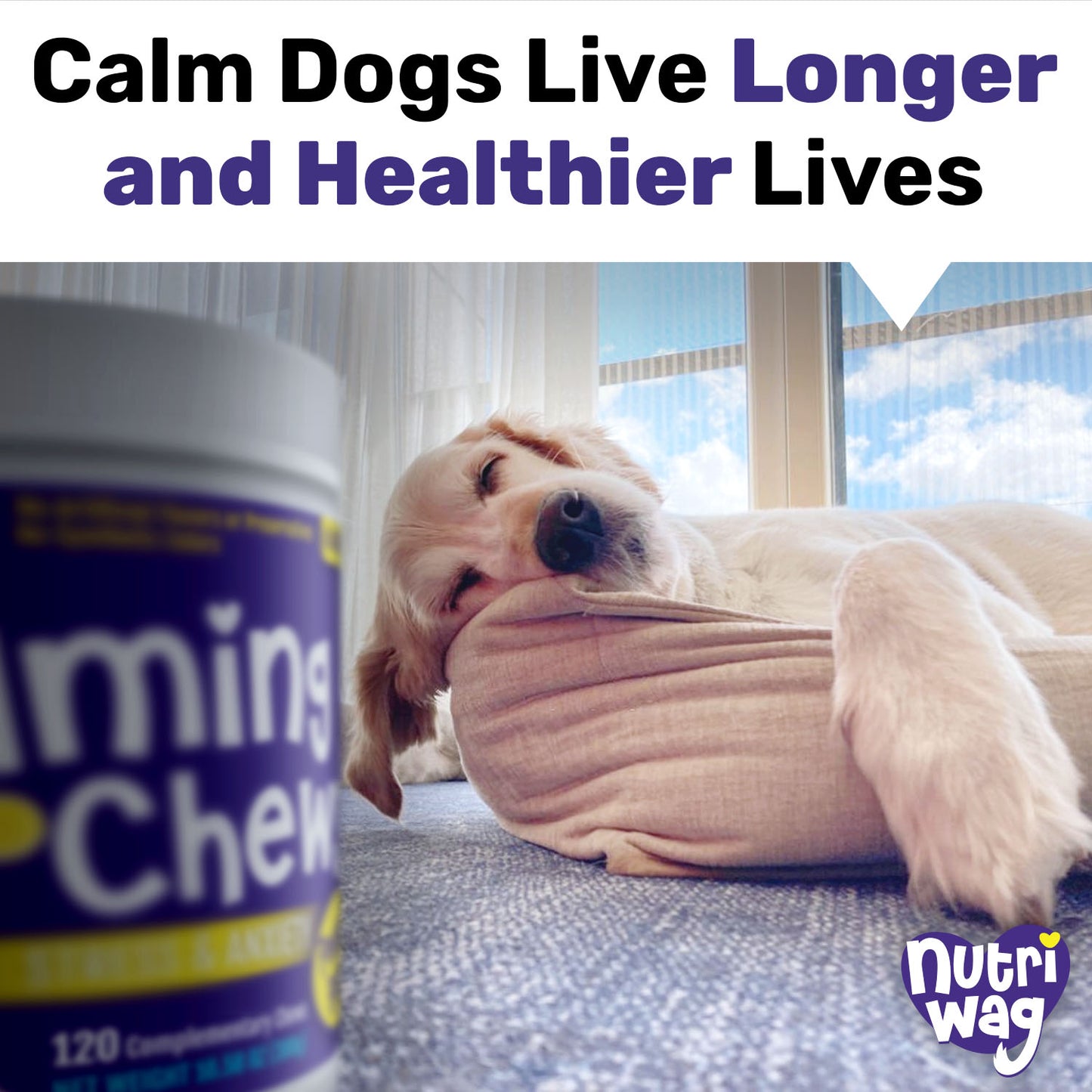 NutriWag Calming Chews - 2 Jars