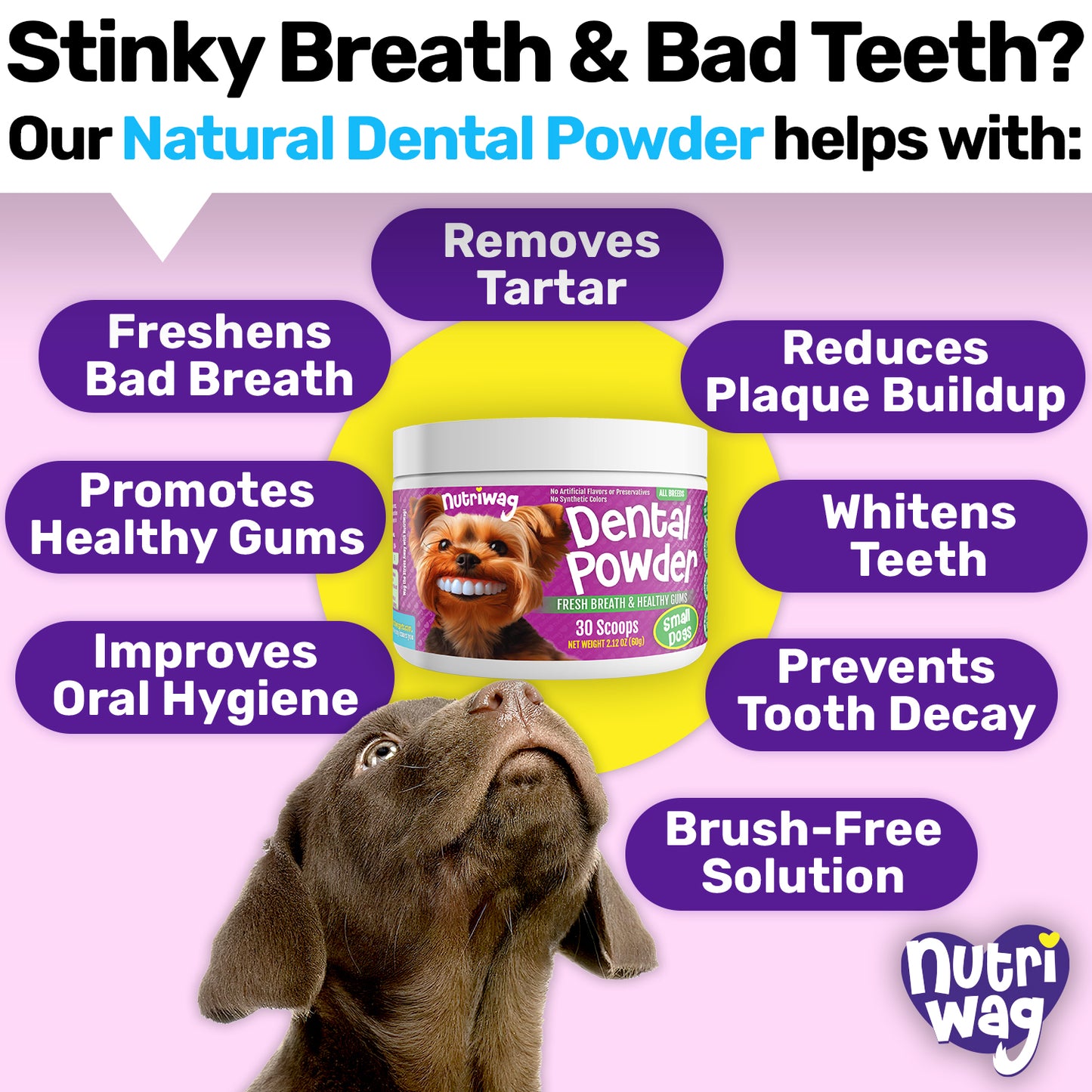 NutriWag Dental Powder