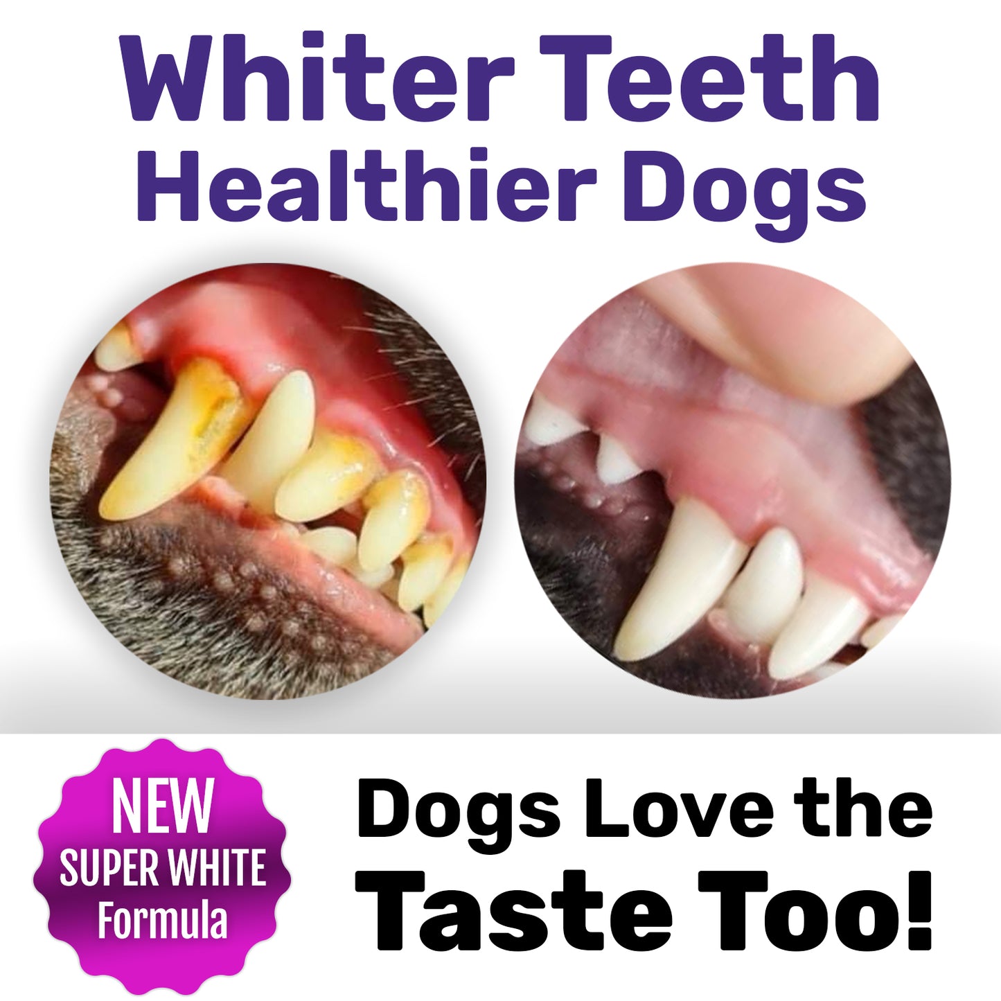 NutriWag Dental Powder