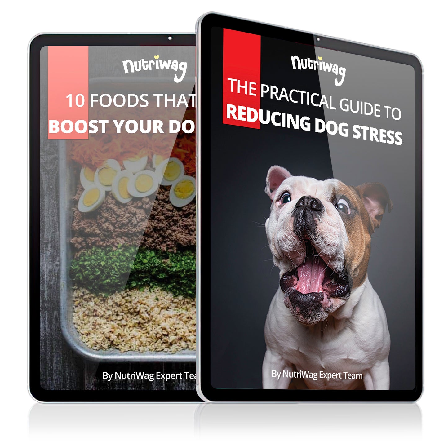 The Ultimate Zen Dog Collection