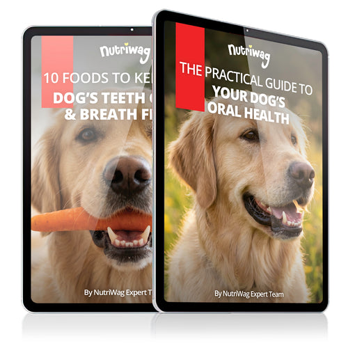 The Ultimate Dog Teeth & Breath Blueprint